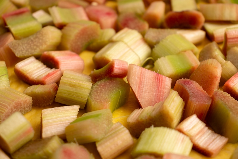 Rhubuarb diced for rhubarb pie