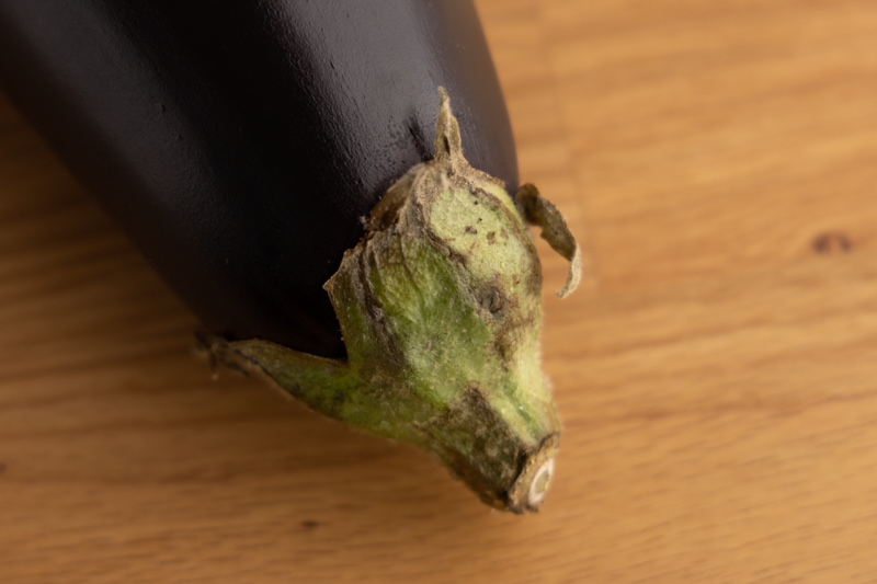 Old eggplant calyx: notice browning and drying